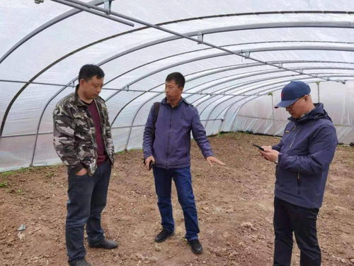 百期網(wǎng)課開新局，科技助農(nóng)譜新篇——市農(nóng)業(yè)科學(xué)院“學(xué)史力行慶華誕”網(wǎng)絡(luò)課堂圓滿結(jié)課